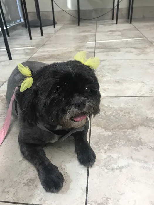 Amar Glen Veterinary Hospital 5