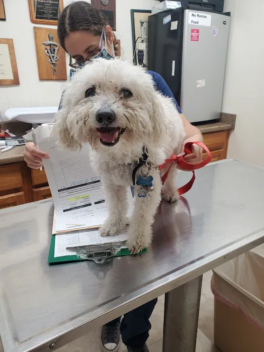 Montebello Veterinary Hospital 12