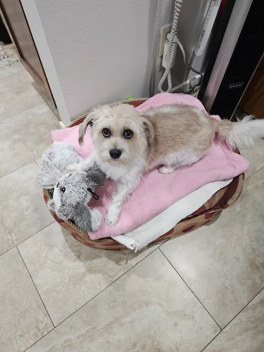 San Gabriel Animal Hospital 12