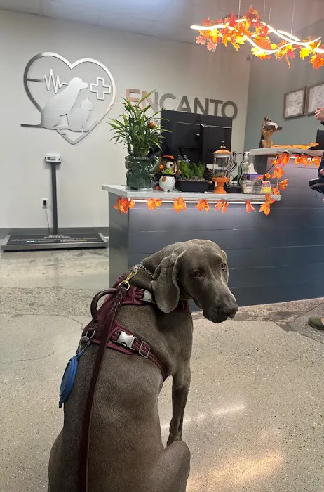 Encanto Animal Hospital 12