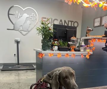 Encanto Animal Hospital