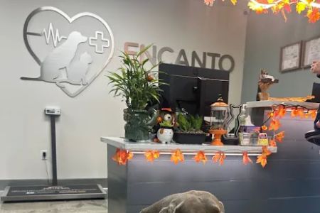 Encanto Animal Hospital