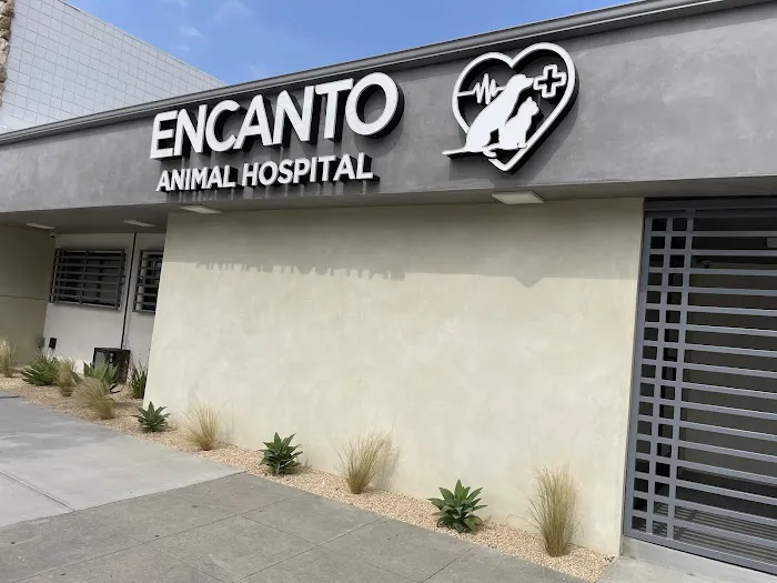 Encanto Animal Hospital 12