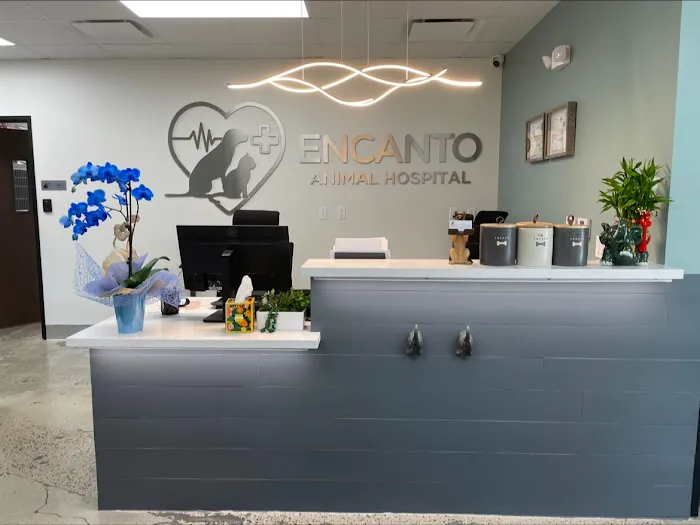Encanto Animal Hospital 12