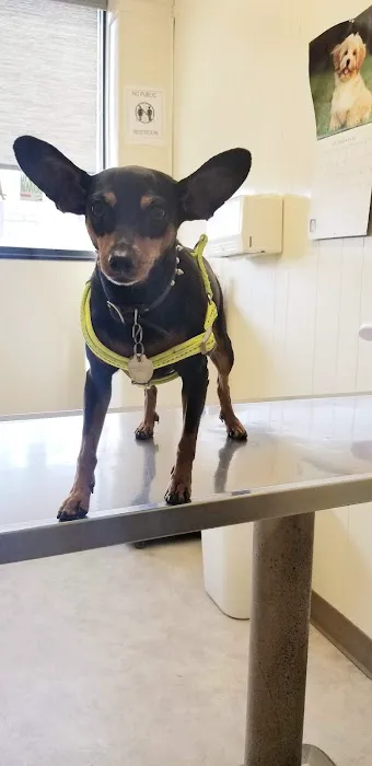 East Los Angeles Dog and Cat Hospital 12