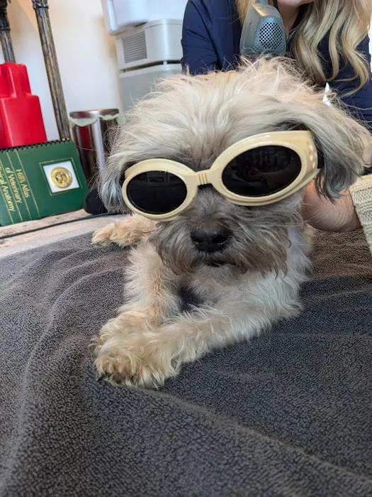 Sno Pets Acupuncture and Wellness 12