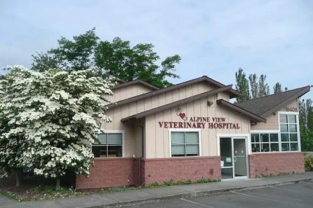 Alpine View Veterinary Hospital