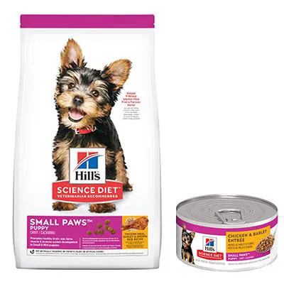 Diamond Veterinary Hospital 12