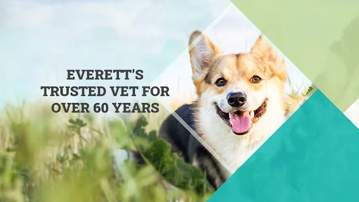 Diamond Veterinary Hospital 12
