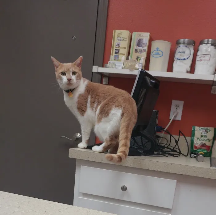 Redmond-Fall City Animal Hospital 12
