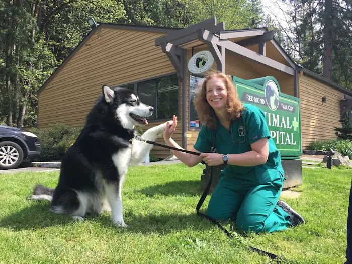 Redmond-Fall City Animal Hospital 12