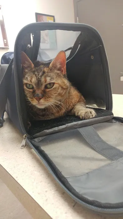 Redmond-Fall City Animal Hospital 12