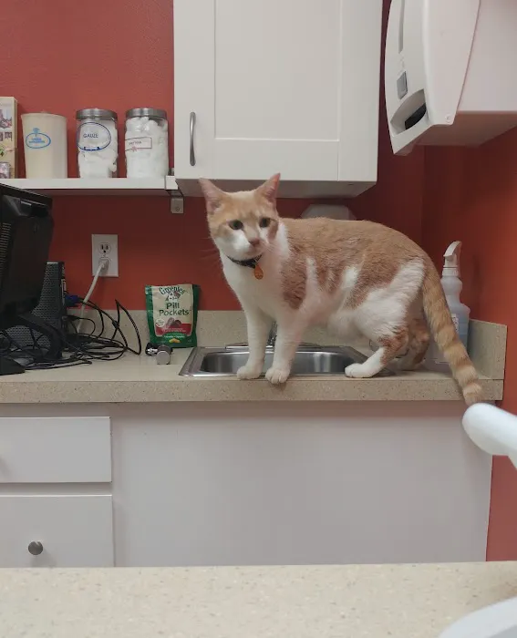 Redmond-Fall City Animal Hospital 12