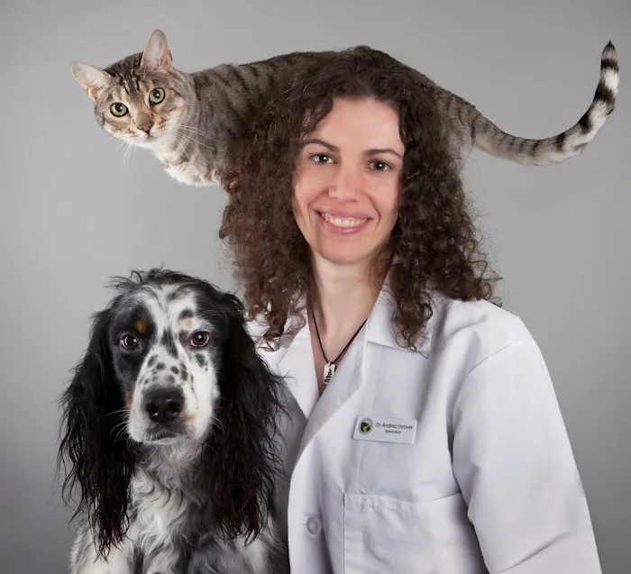 Redmond-Fall City Animal Hospital 12