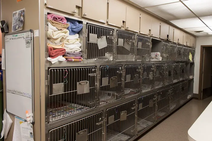 Aerowood Animal Hospital Ps Inc: Kornmann Conrad DVM 12