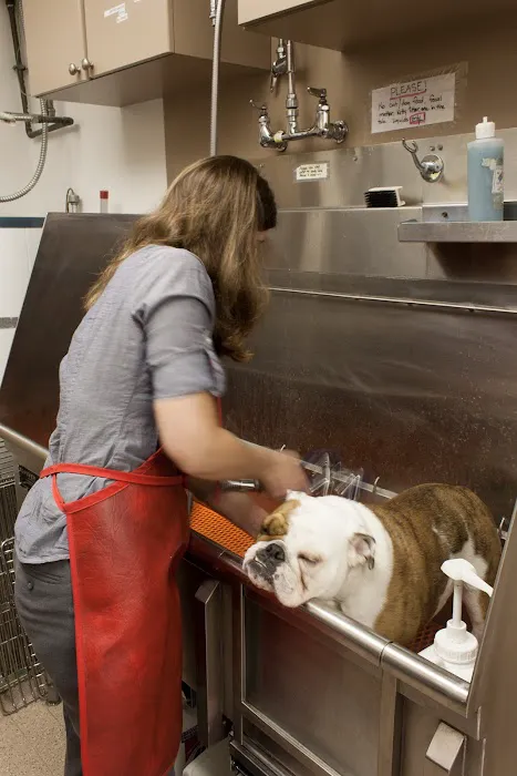 Aerowood Animal Hospital Ps Inc: Kornmann Conrad DVM 12