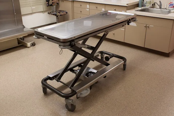 Ellsberry Lisa Dvm 12