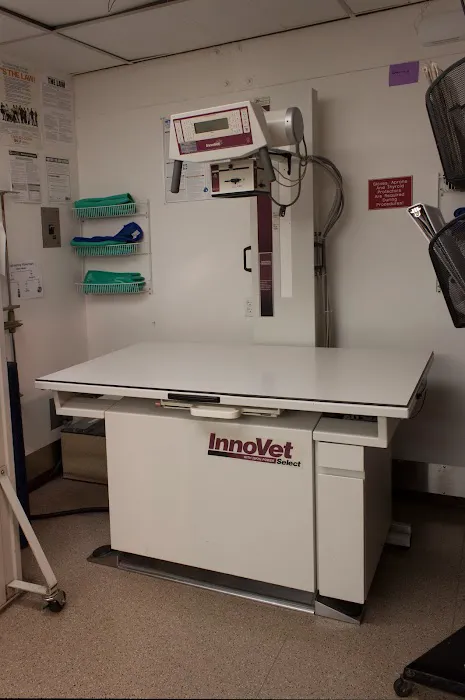 Ellsberry Lisa Dvm 12