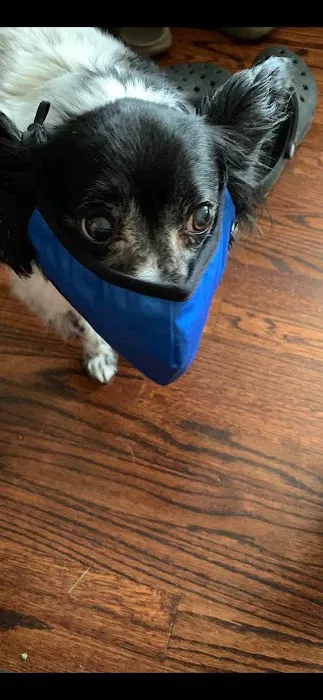 Animal Health Care Center 12