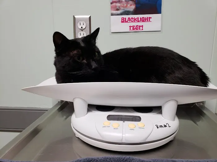 Renton West Veterinary Hospital 12