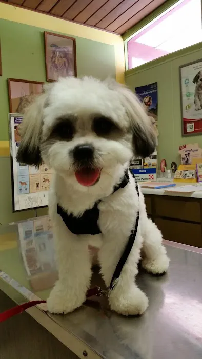 Airport Veterinary Clinic USDA Accreditated Veterinarian Class 2 All Animals. 12