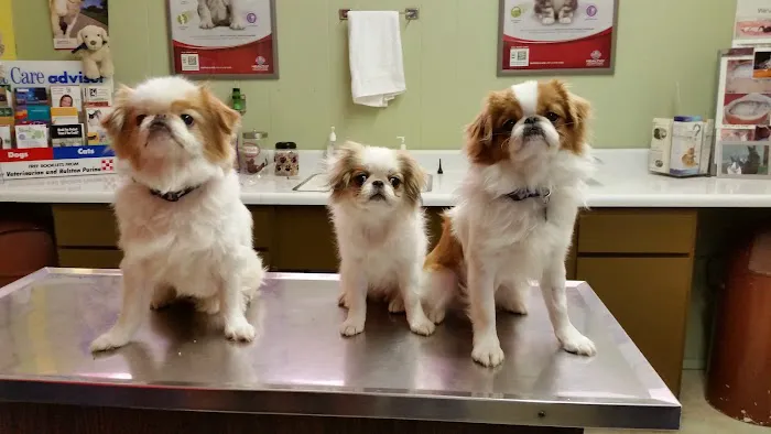Airport Veterinary Clinic USDA Accreditated Veterinarian Class 2 All Animals. 12