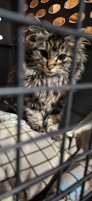 South County Spay Neuter Clinic 12