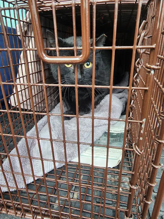 South County Spay Neuter Clinic 12
