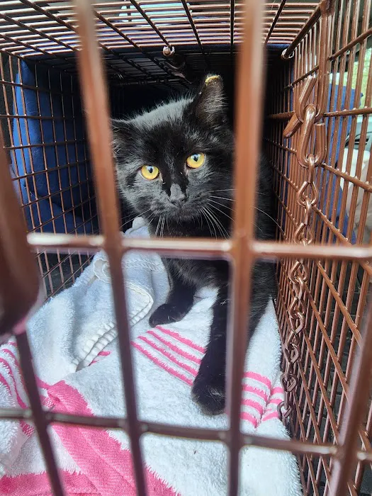South County Spay Neuter Clinic 12
