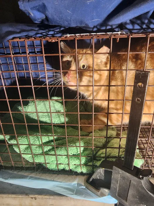 South County Spay Neuter Clinic 12