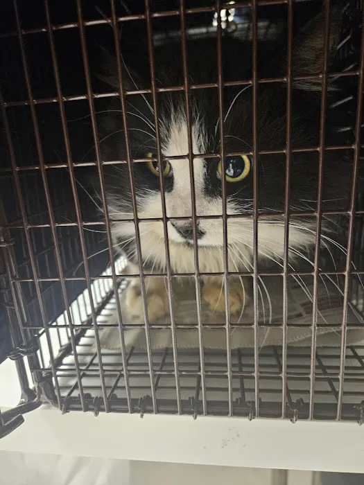 South County Spay Neuter Clinic 12