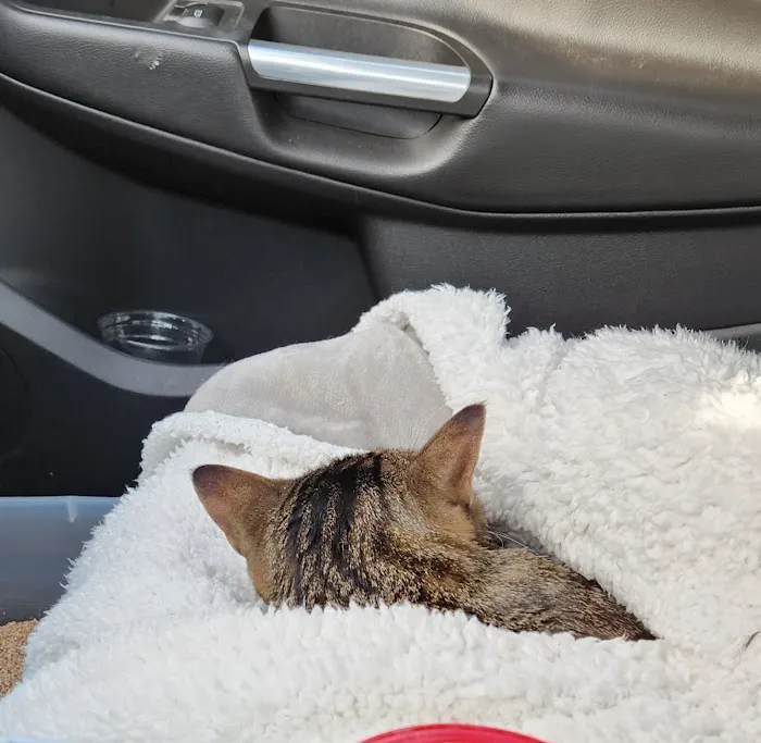 Pacific Heights Veterinary Hospital 3