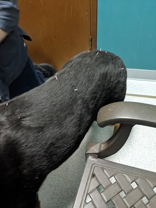 Pacific Heights Veterinary Hospital 6