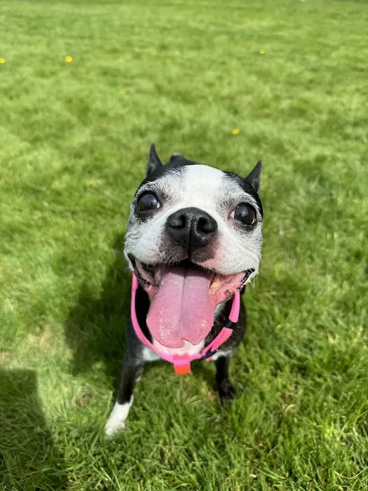 Renton Highlands Pet Clinic 12