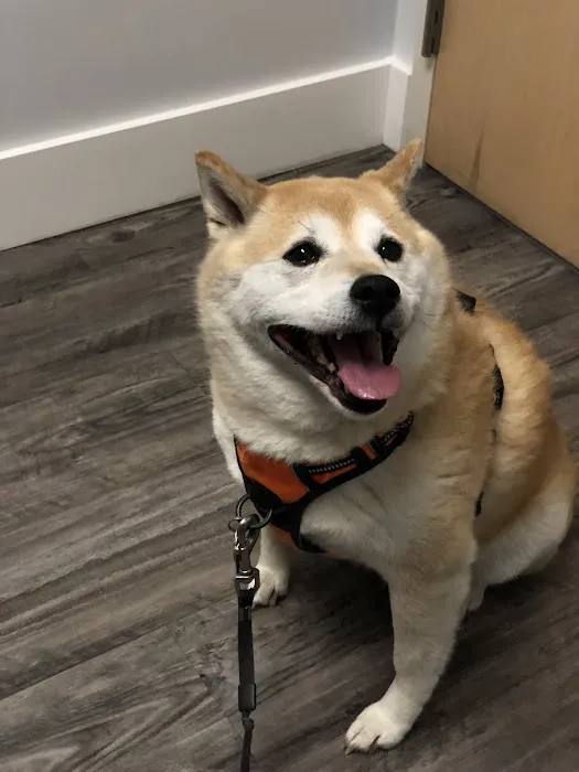 Cedar River Animal Hospital 8