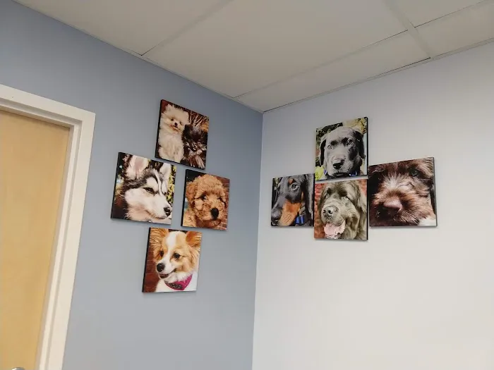 Cedar River Animal Hospital 1