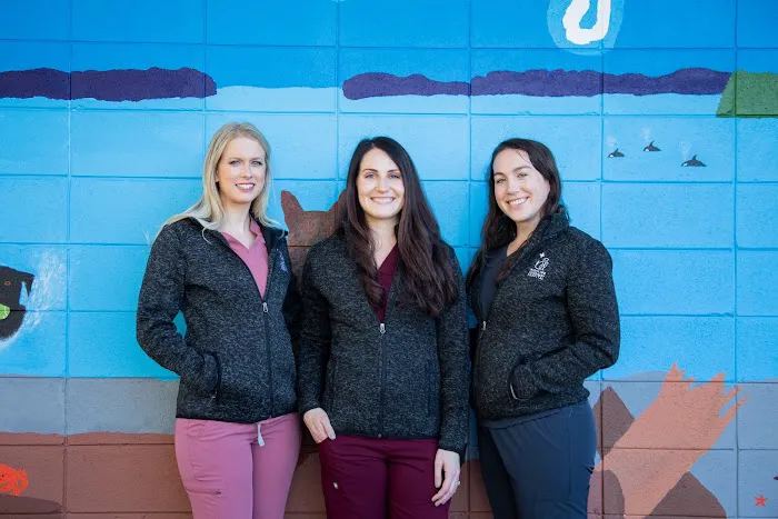 Highline Veterinary Hospital 12