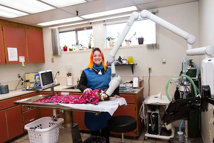 Highline Veterinary Hospital 12