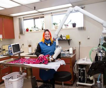 Highline Veterinary Hospital
