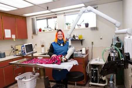Highline Veterinary Hospital