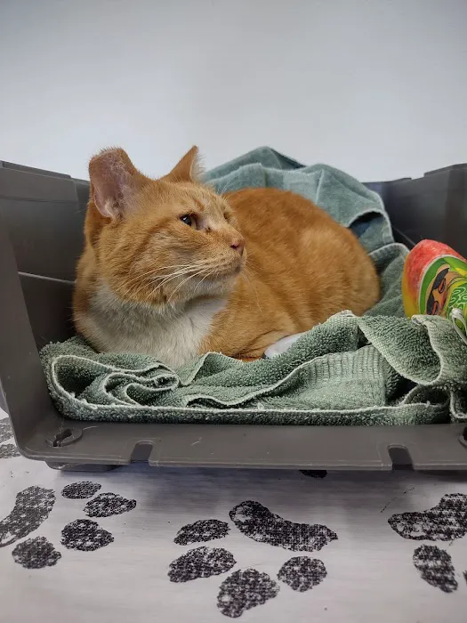 Highline Veterinary Hospital 12
