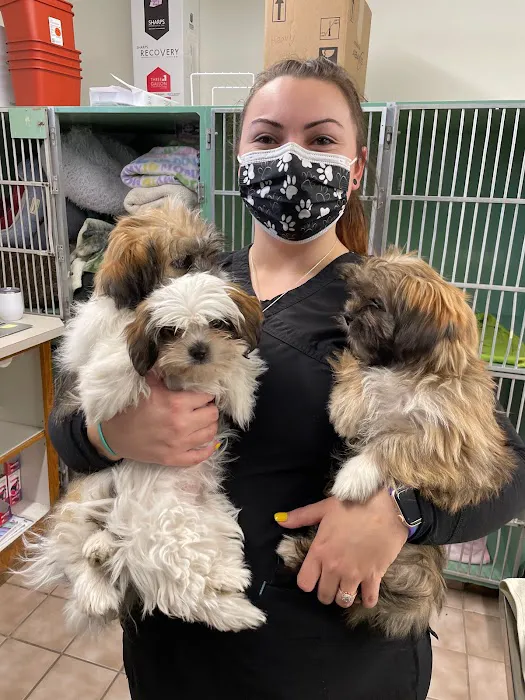 Highline Veterinary Hospital 12