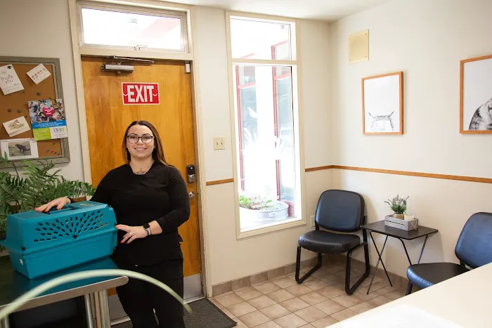 Highline Veterinary Hospital 12