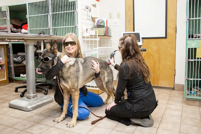 Highline Veterinary Hospital 12
