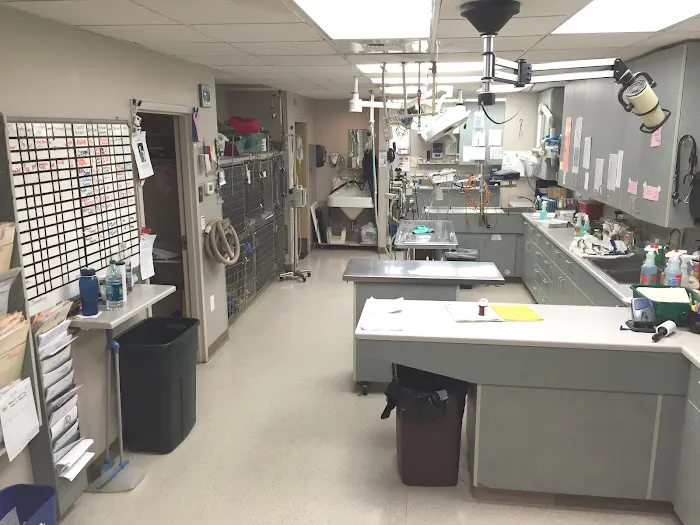 Burien Veterinary Hospital 12