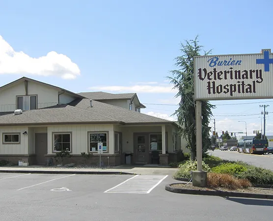 Burien Veterinary Hospital 12