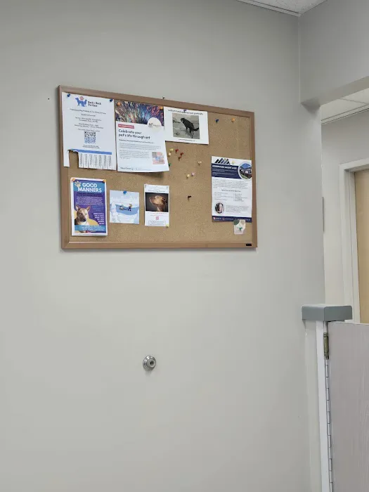 Burien Veterinary Hospital 12