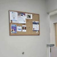 Burien Veterinary Hospital ico