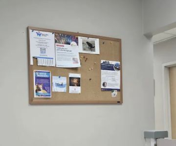 Burien Veterinary Hospital