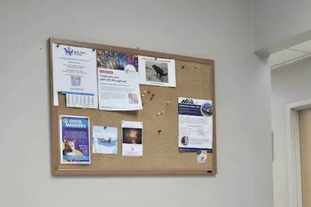 Burien Veterinary Hospital